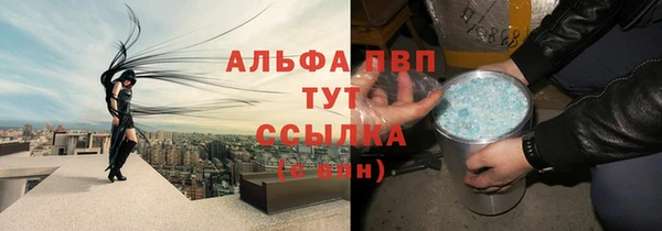 СК Аркадак