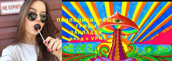 ешки Алексеевка