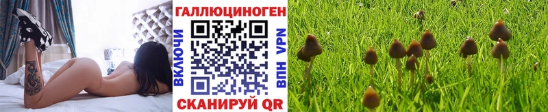что такое наркотик  Старый Крым  Галлюциногенные грибы Psilocybine cubensis 